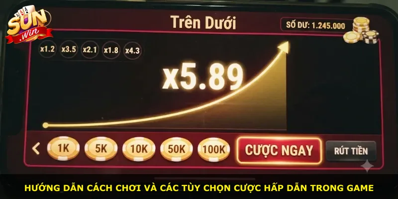 Hướng dẫn cách chơi và các tùy chọn cược hấp dẫn trong game